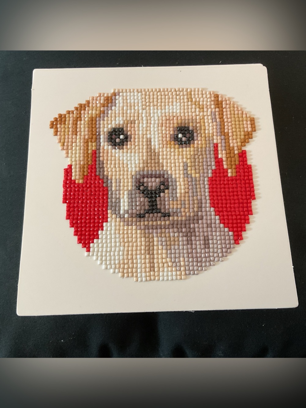 Yellow Lab Dog Diamond Painting – Whimsical Pet Portrait.